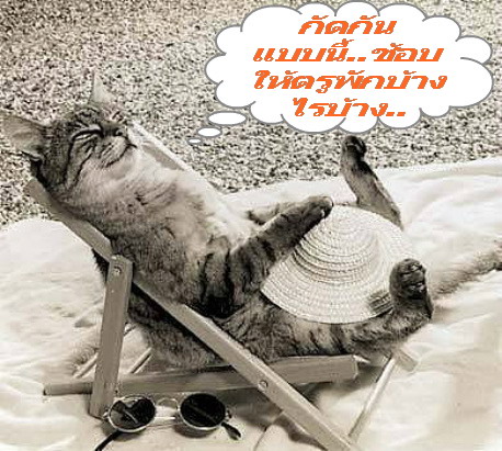 กัดกันแบบนี้ชอบ.jpg