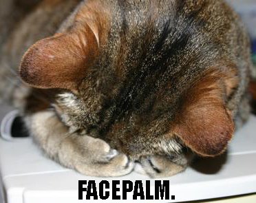 face palm cat5.jpg