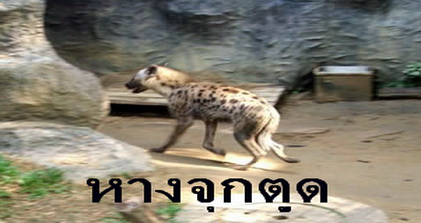 03.jpg