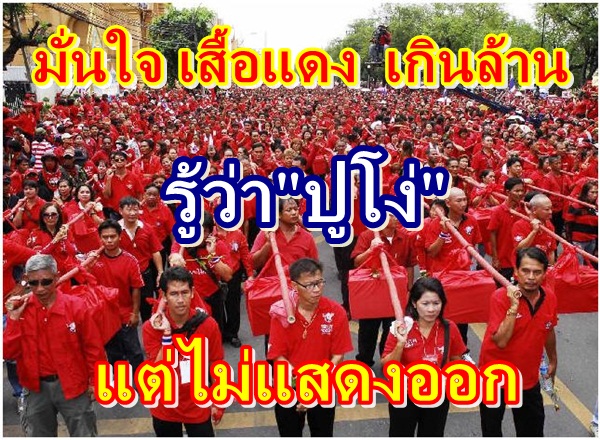 20090818093238seedang_1.jpg
