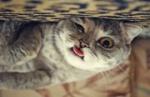 Ashitaphon Niamsorn's Photo