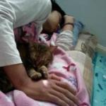 Mickey Kung's Photo