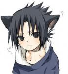 qtaro's Photo