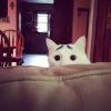 เอาคลิปตลกๆมาให้ดูแก้เครียดกันครับ - last post by kapang
